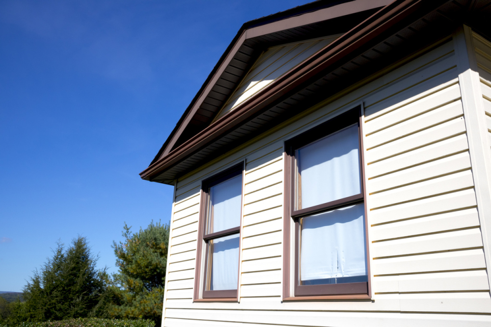 Vinyl Siding